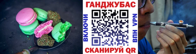 Canna-Cookies марихуана  купить наркотики сайты  Злынка 
