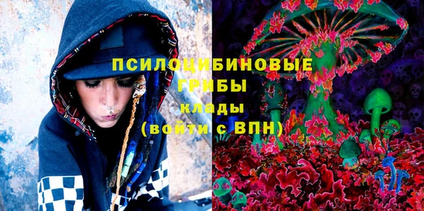 твердый Каменка