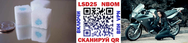 где продают наркотики  Злынка  LSD-25 экстази ecstasy 
