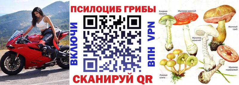 наркошоп  Злынка  Галлюциногенные грибы Psilocybine cubensis 