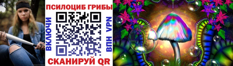 Псилоцибиновые грибы GOLDEN TEACHER Злынка